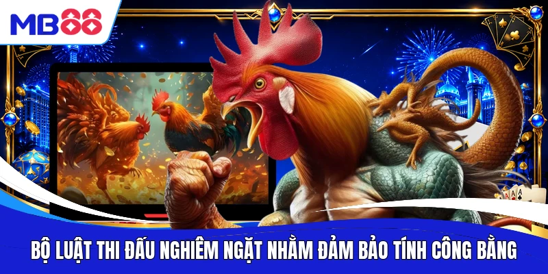 Bộ luật thi đấu nghiêm ngặt nhằm đảm bảo tính công bằng