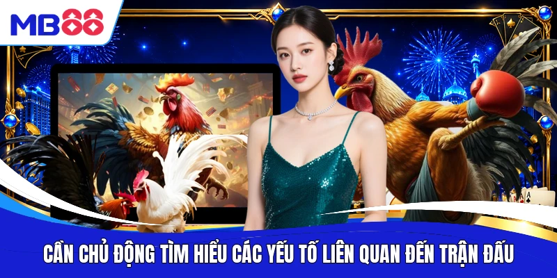 Cần chủ động tìm hiểu các yếu tố liên quan đến trận đấu