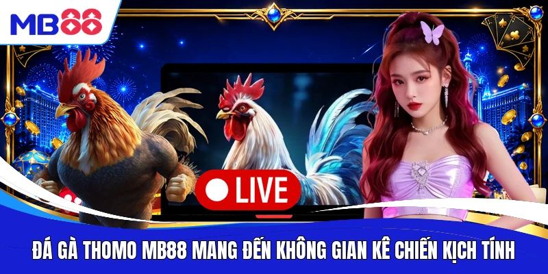 Đá Gà Thomo MB88